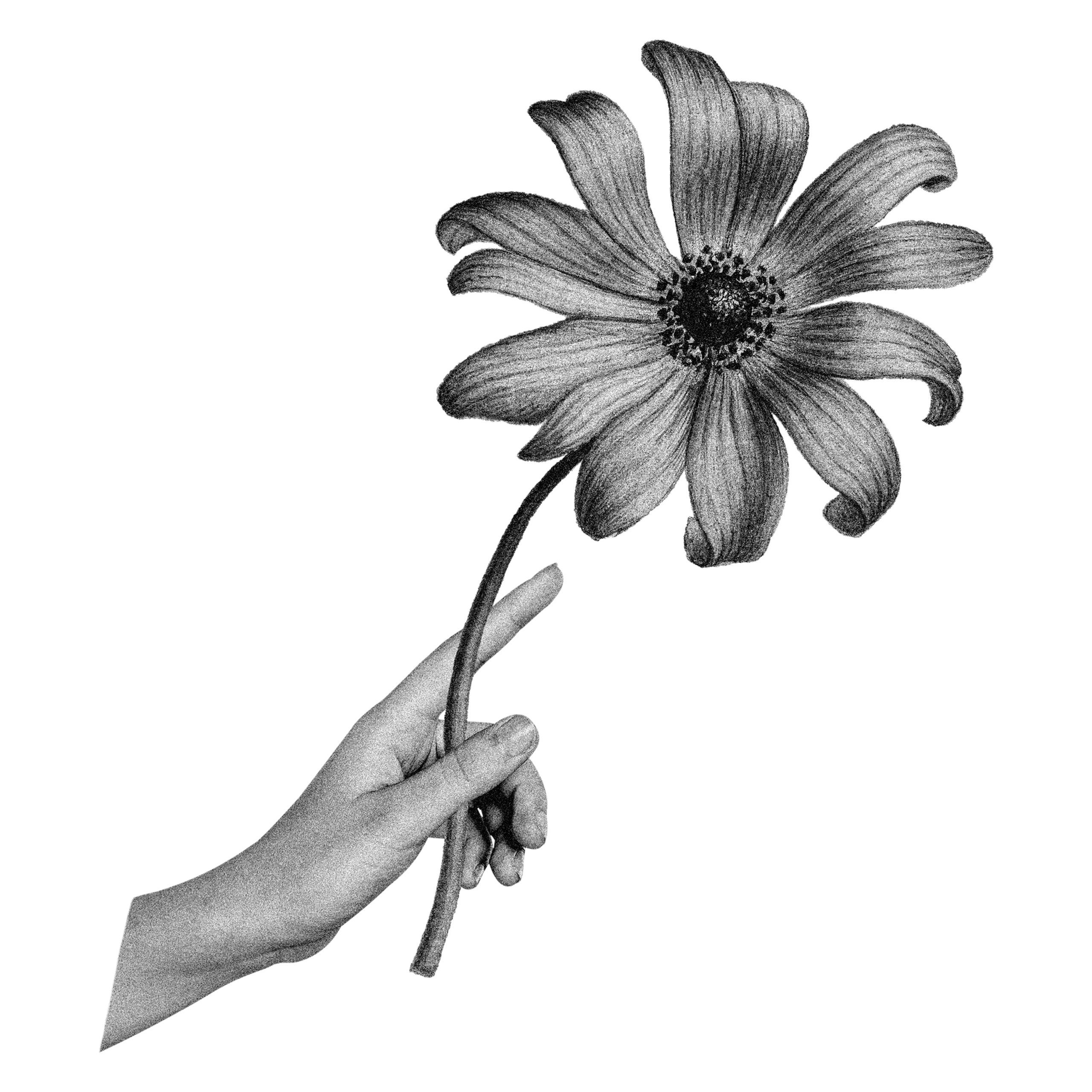 Ilustraciones - Imagen 2
