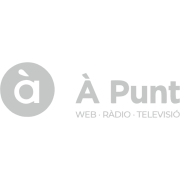a punt logo